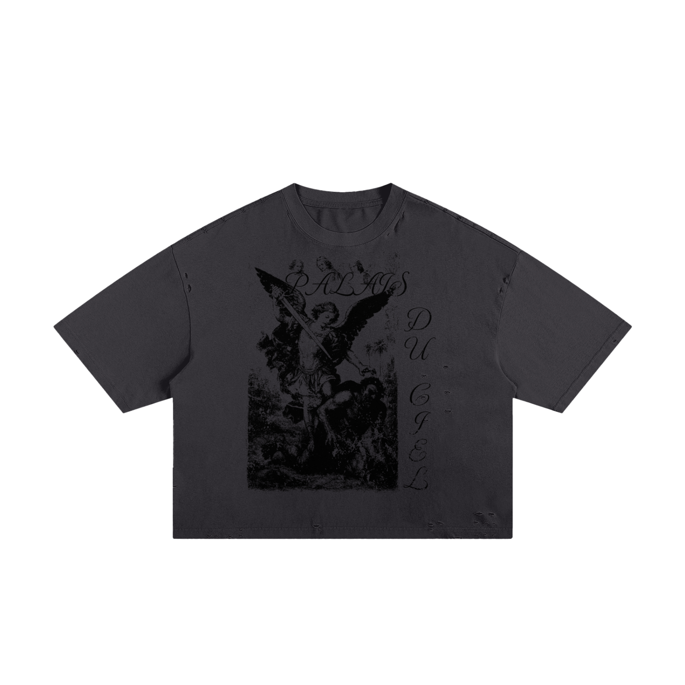 A ANGEL KILLING A DEMON / PALAIS DU CIEL - T-SHIRT