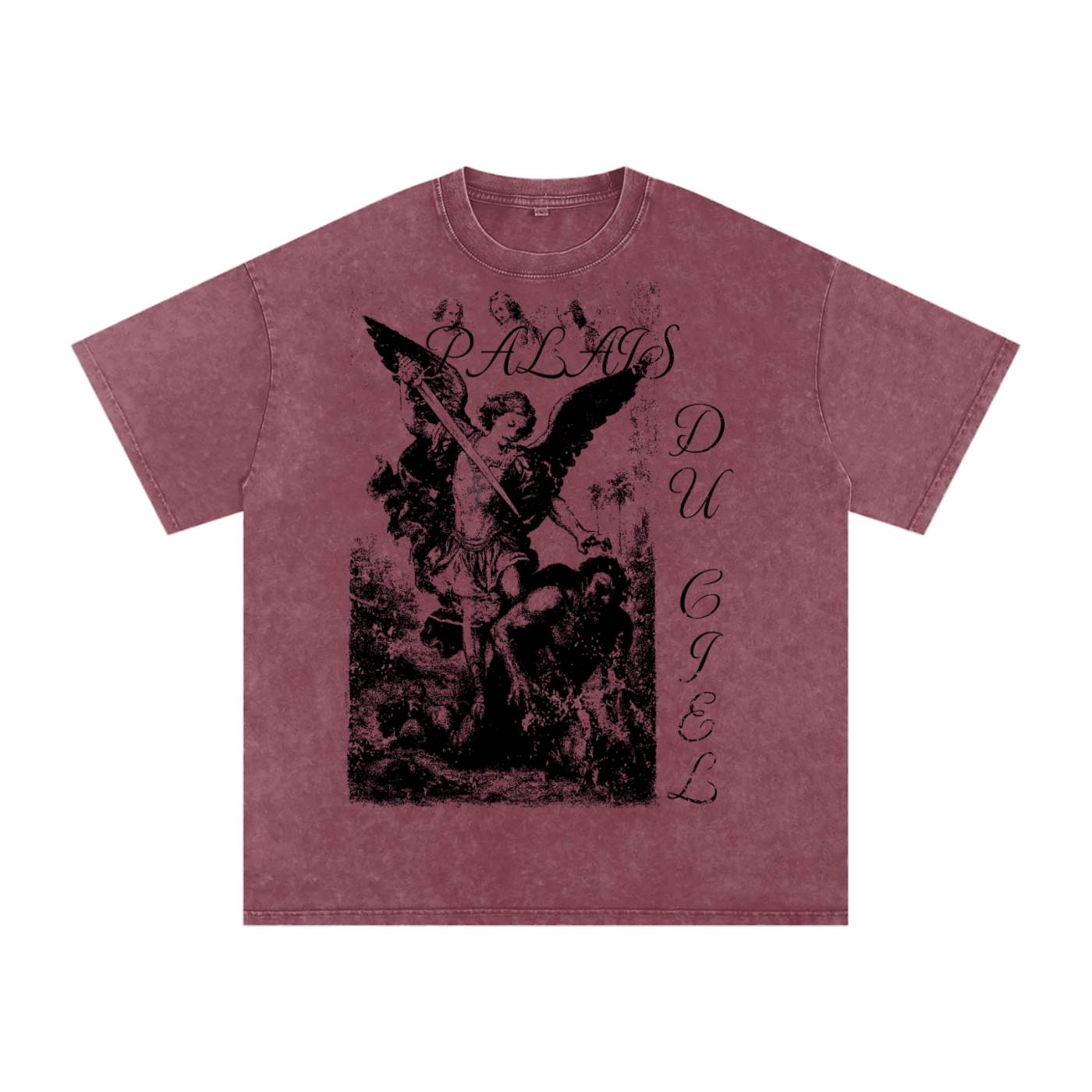 A Angel Killing A Demon / Palais Du Ciel - T shirt