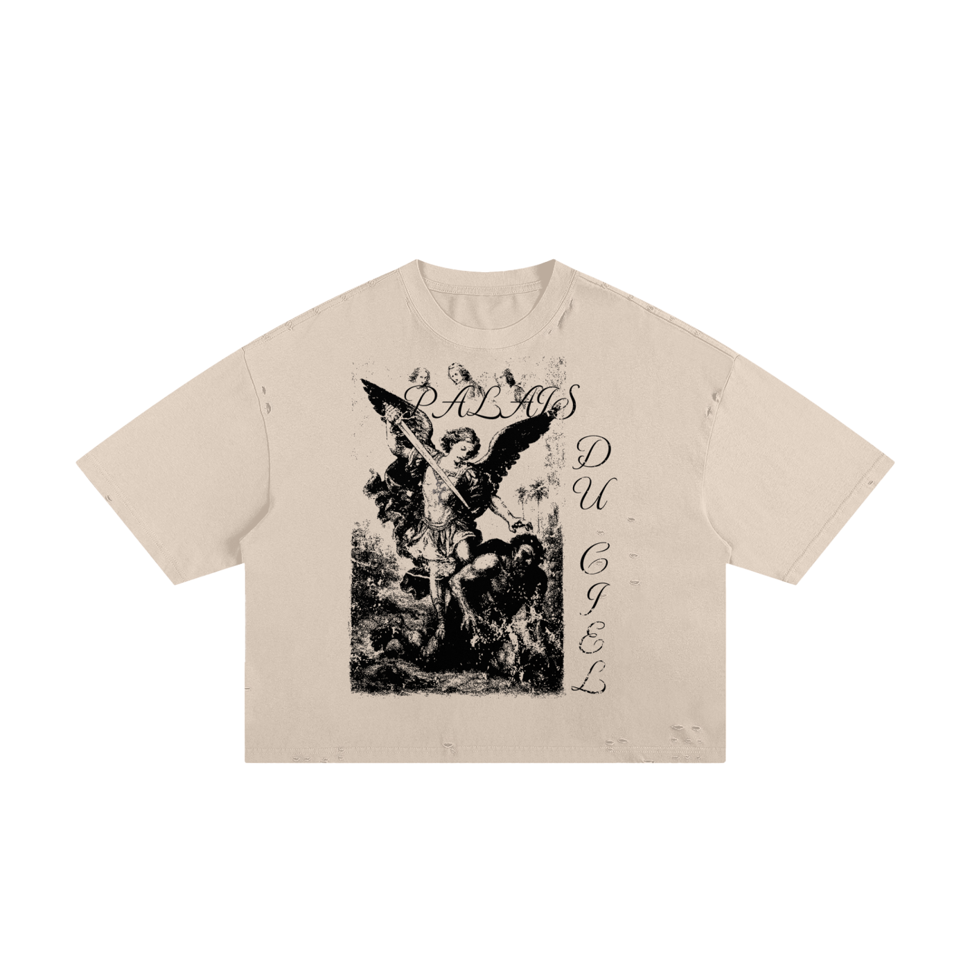 A ANGEL KILLING A DEMON / PALAIS DU CIEL - T-SHIRT