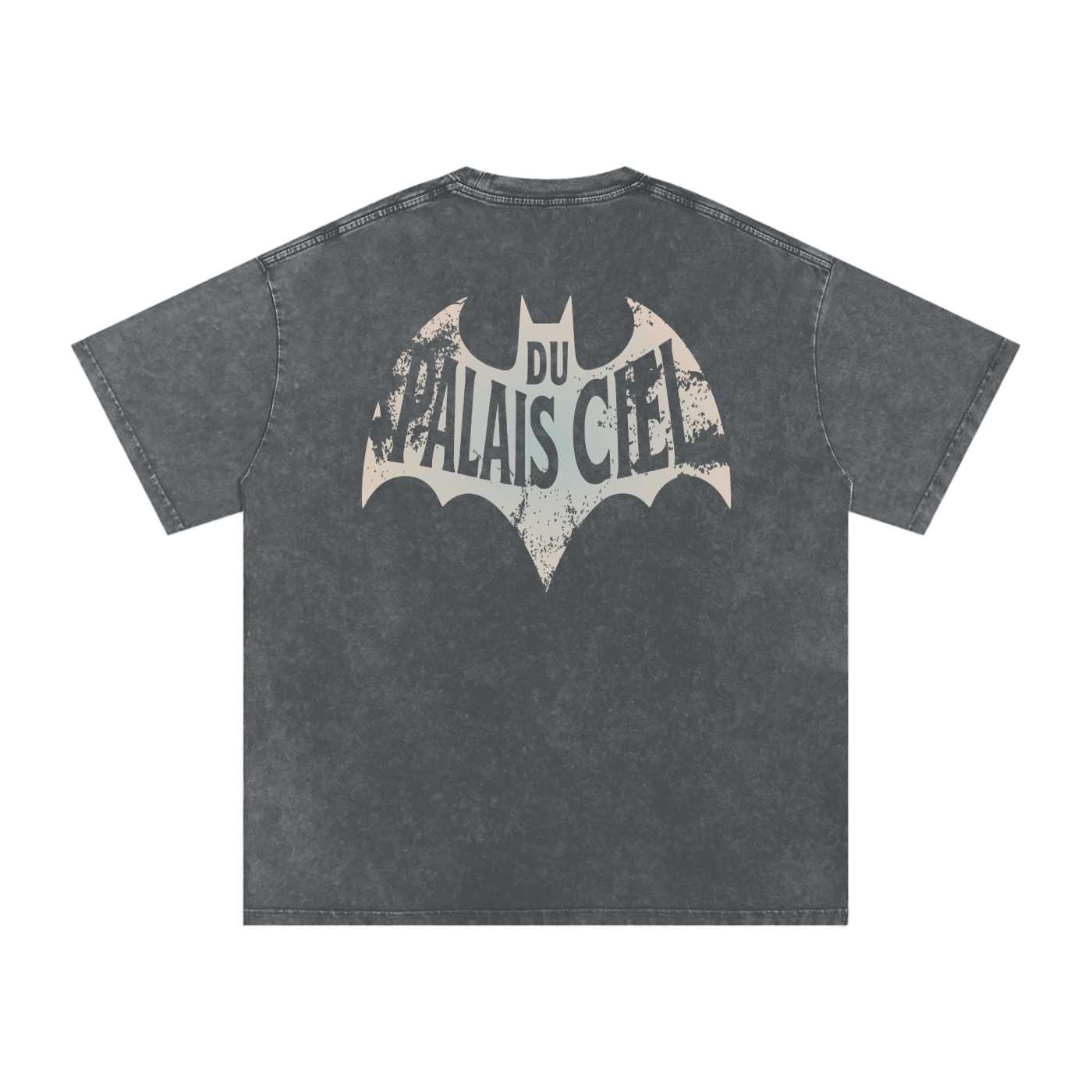 A HERO AND SIDEKICK WASHED T-SHIRT