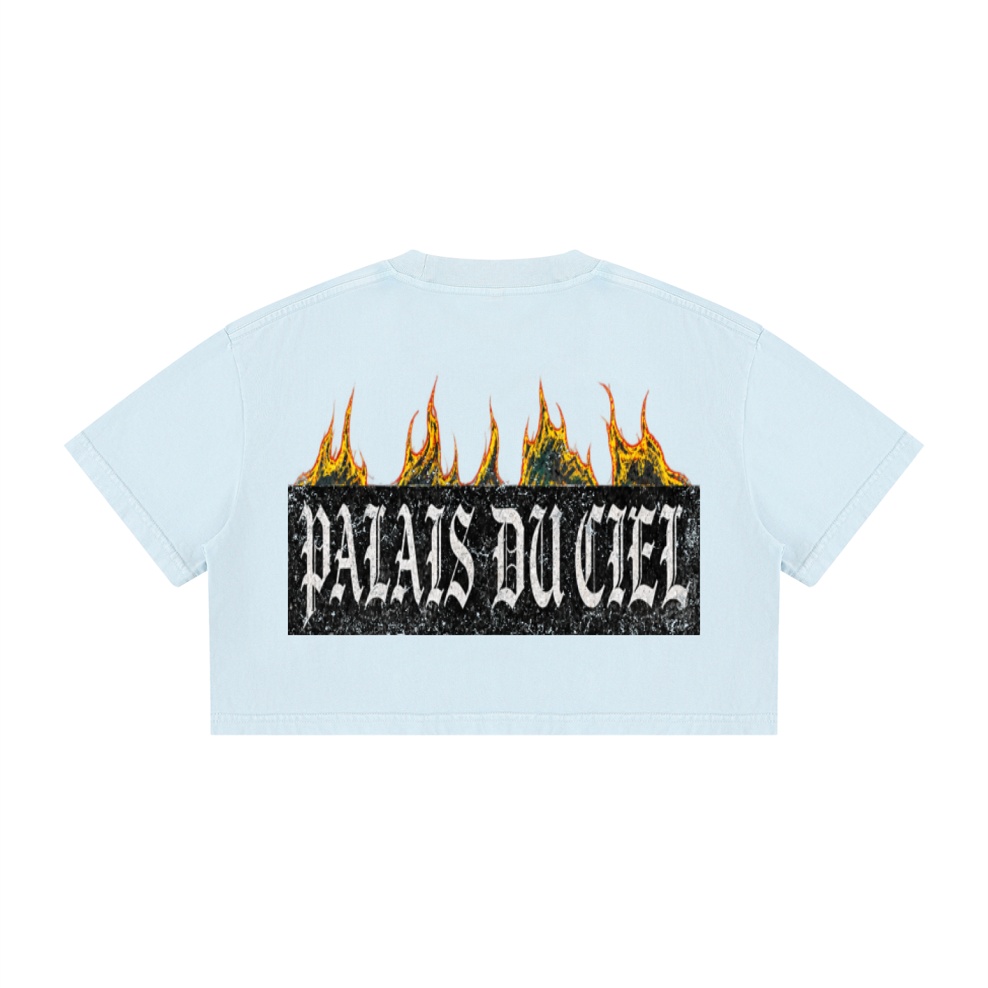 PALACE OF HEAVEN WASHED CROP T-SHIRT