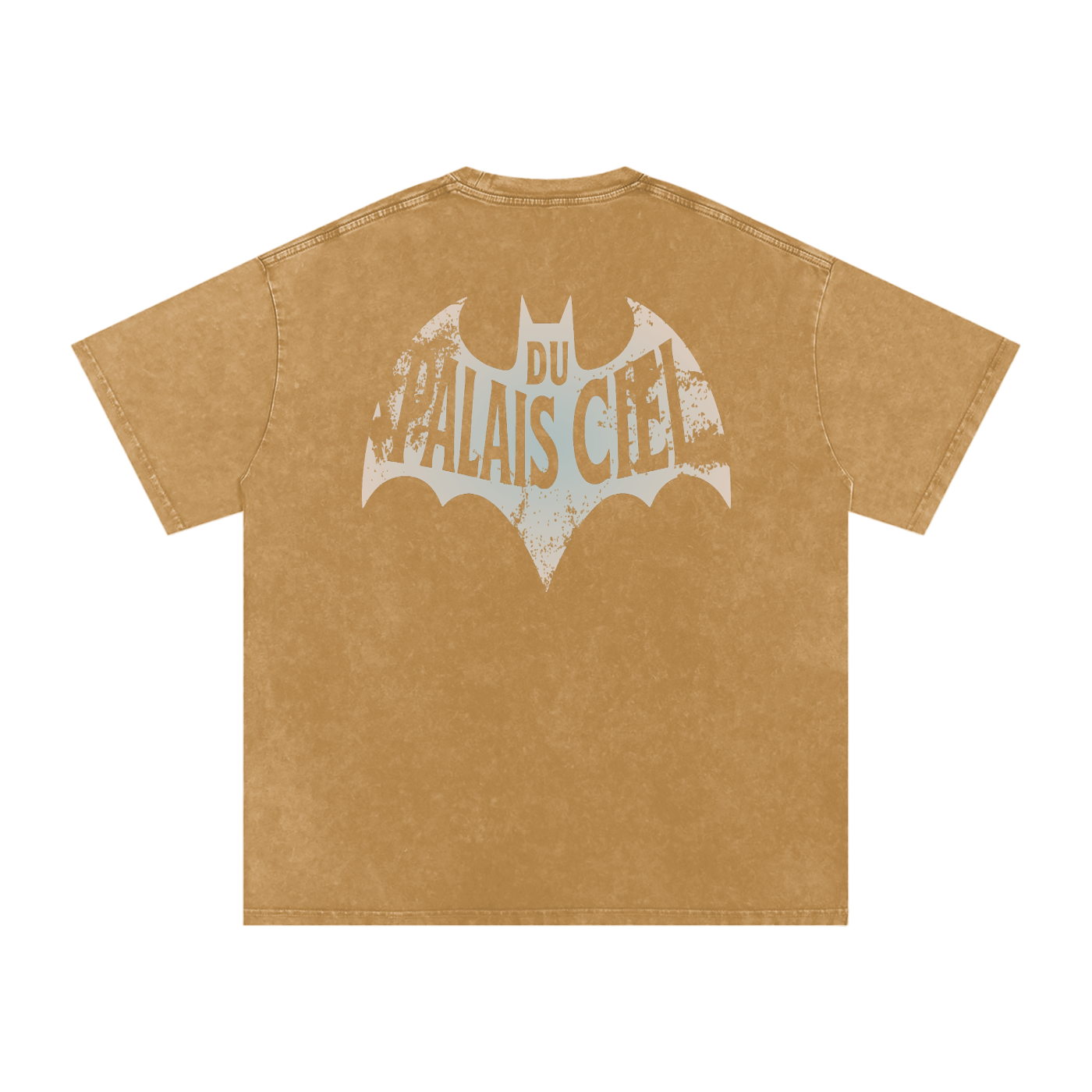 A HERO AND SIDEKICK WASHED T-SHIRT