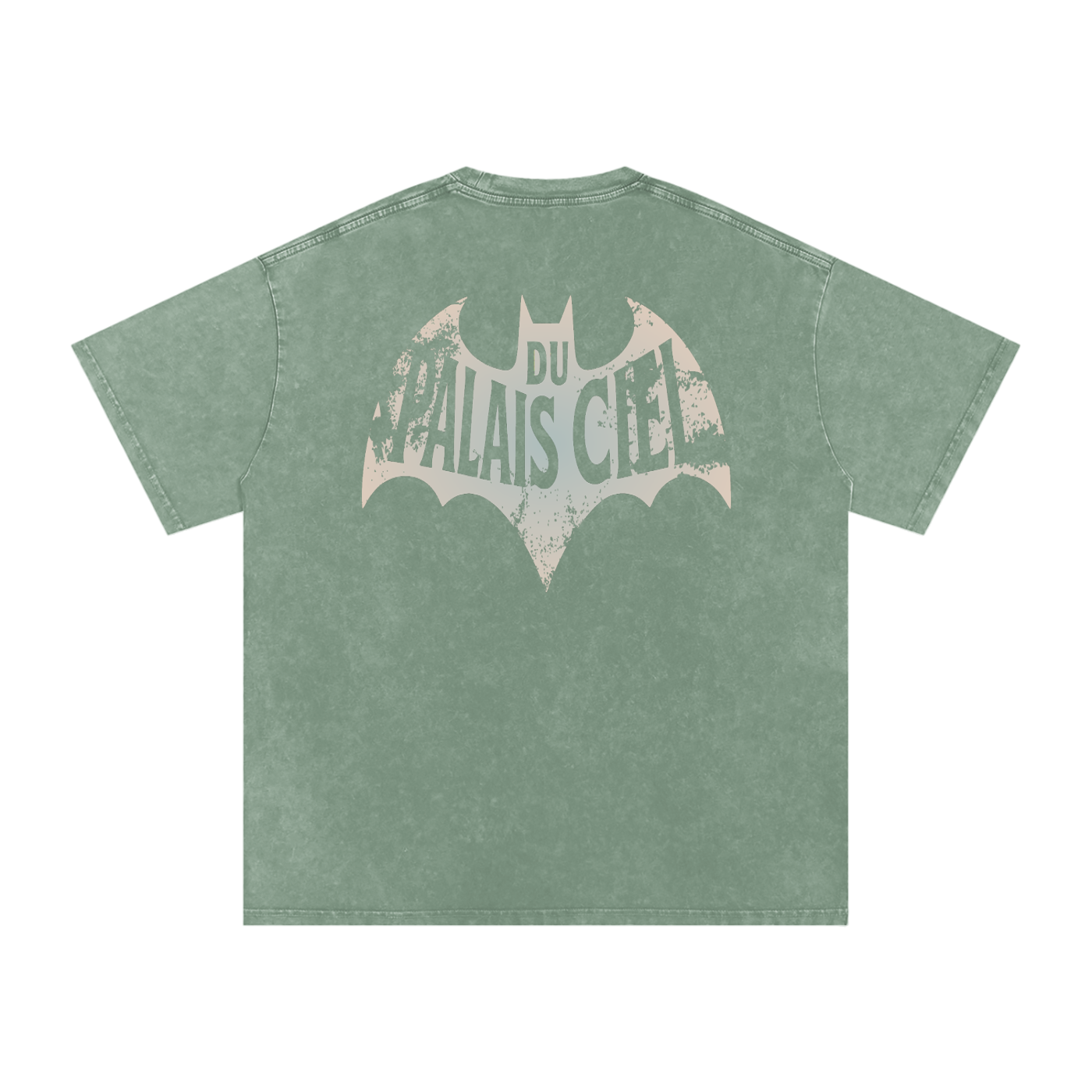 A HERO AND SIDEKICK WASHED T-SHIRT