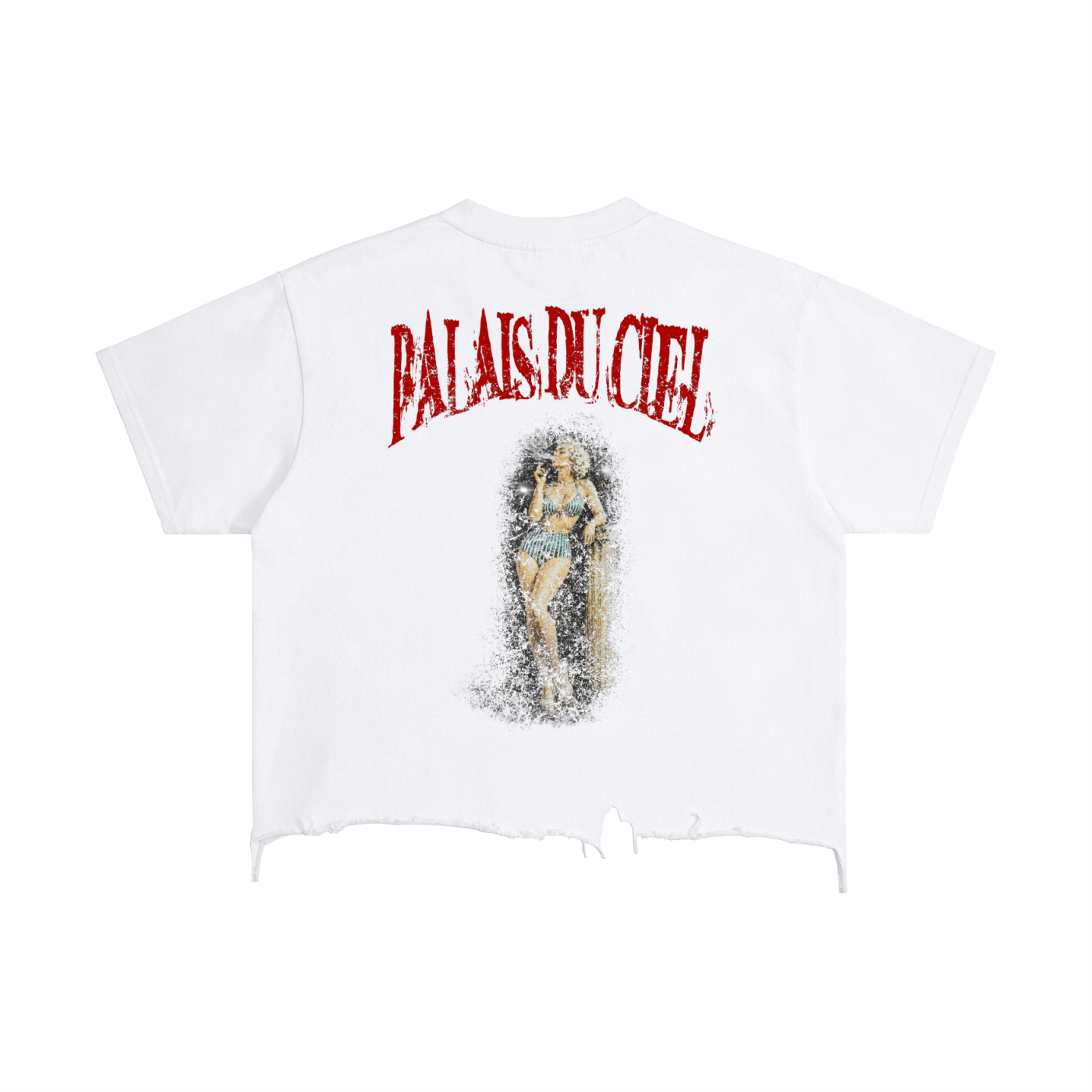 A ACTUAL MODEL SMOKING BOXY T-SHIRT