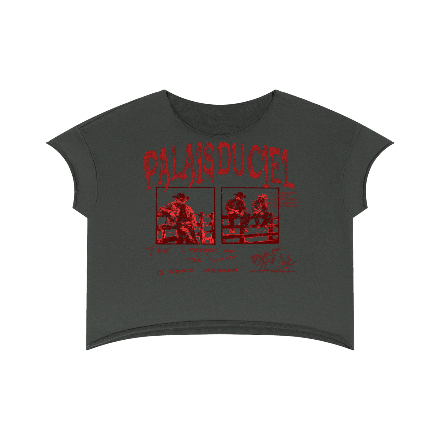 A ALL AMERICAN COWBOY / PALAIS DU CIEL T -SHIRT