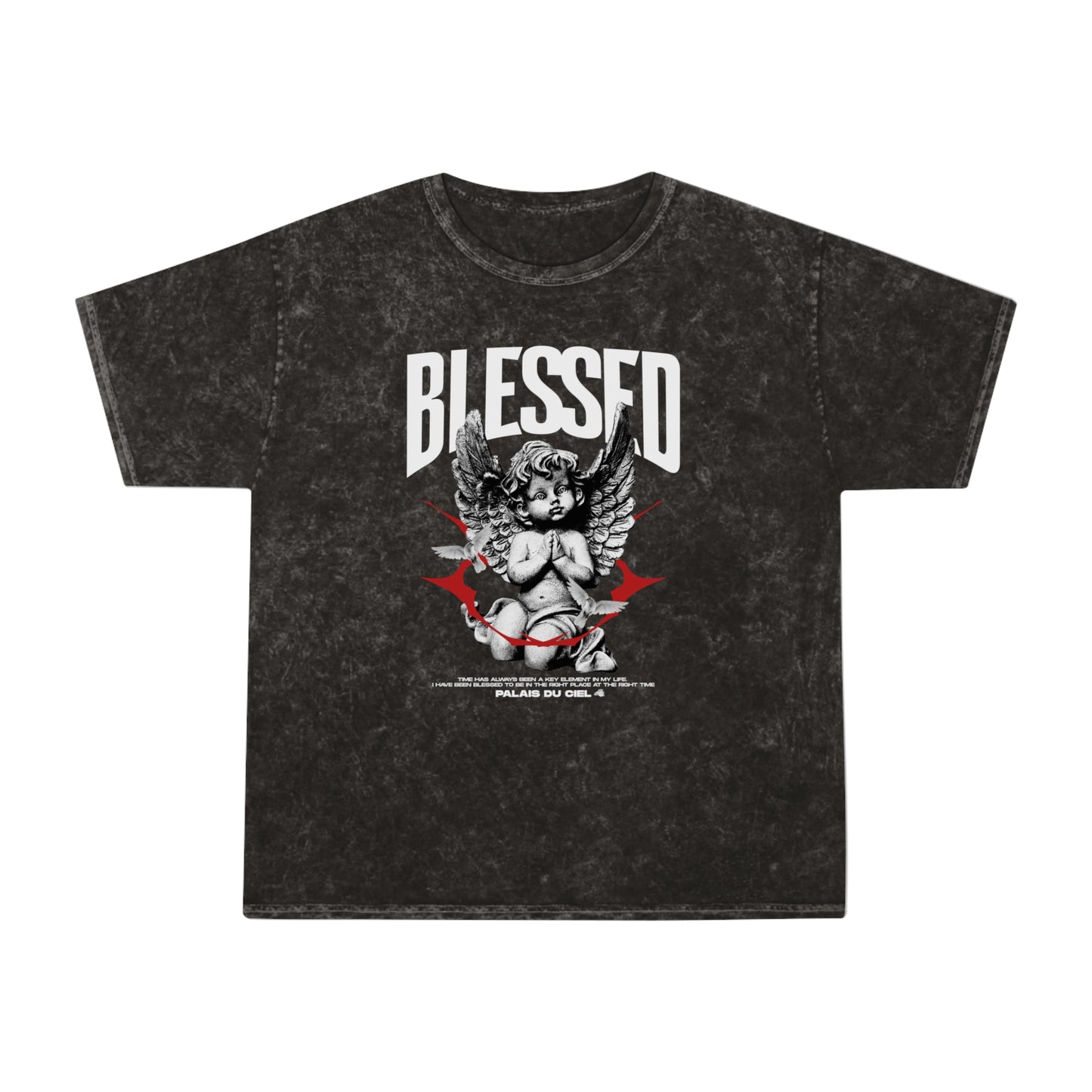 Angel Washed T- Shirt