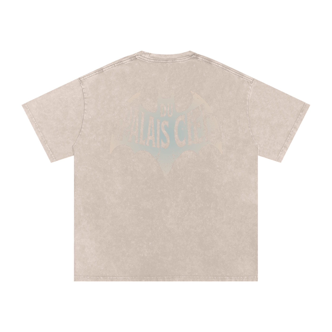 A HERO AND SIDEKICK WASHED T-SHIRT