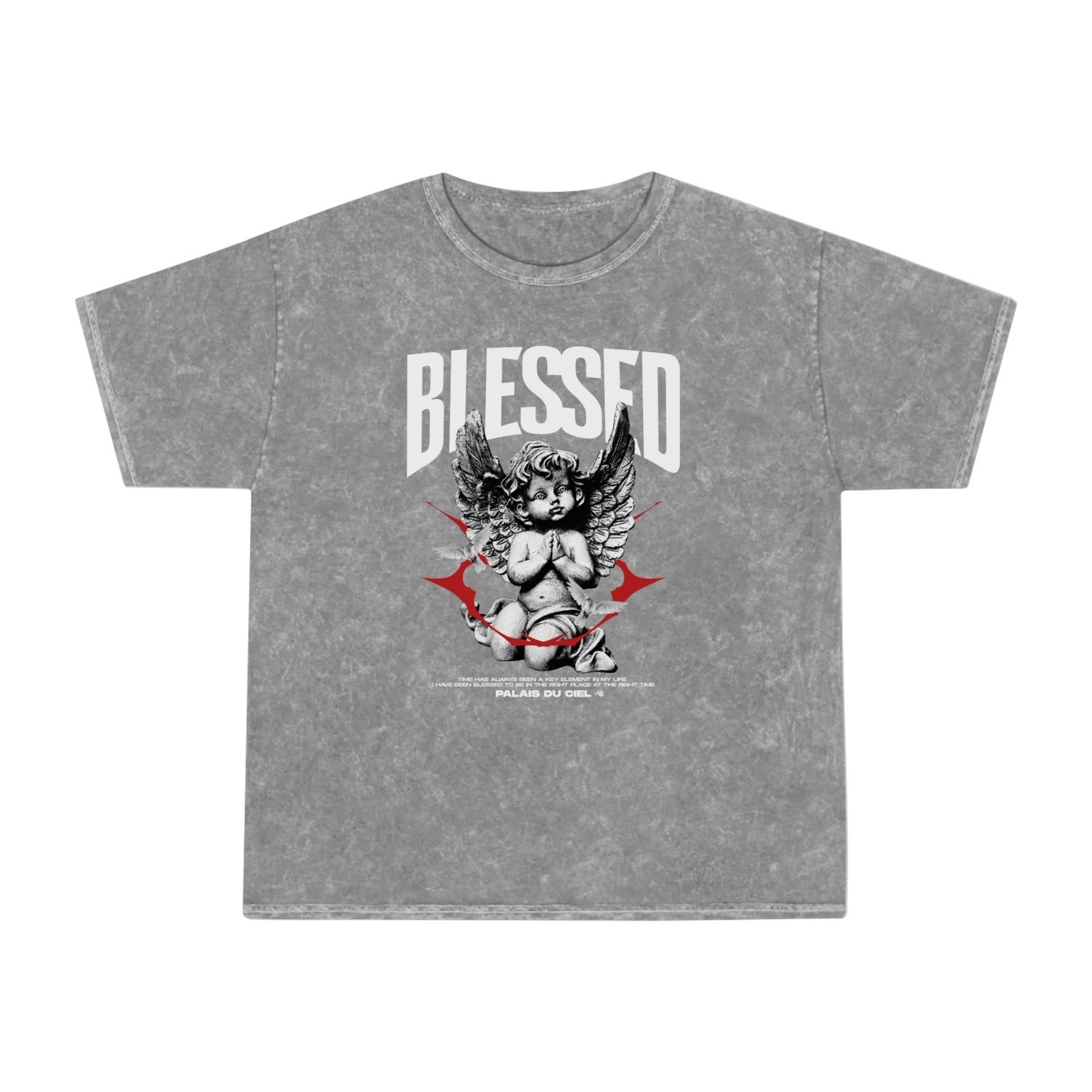 Angel Washed T- Shirt