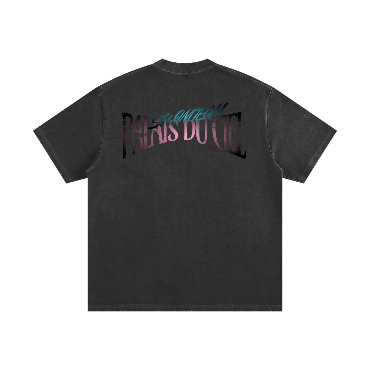 A Palais Du Ciel Swim Team T-shirt