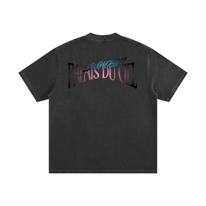 Palais Du Ciel Swim Team T-shirt