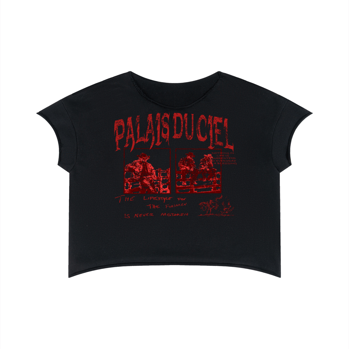 A ALL AMERICAN COWBOY / PALAIS DU CIEL T -SHIRT