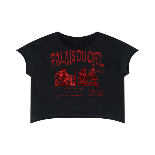 A ALL AMERICAN COWBOY / PALAIS DU CIEL T -SHIRT