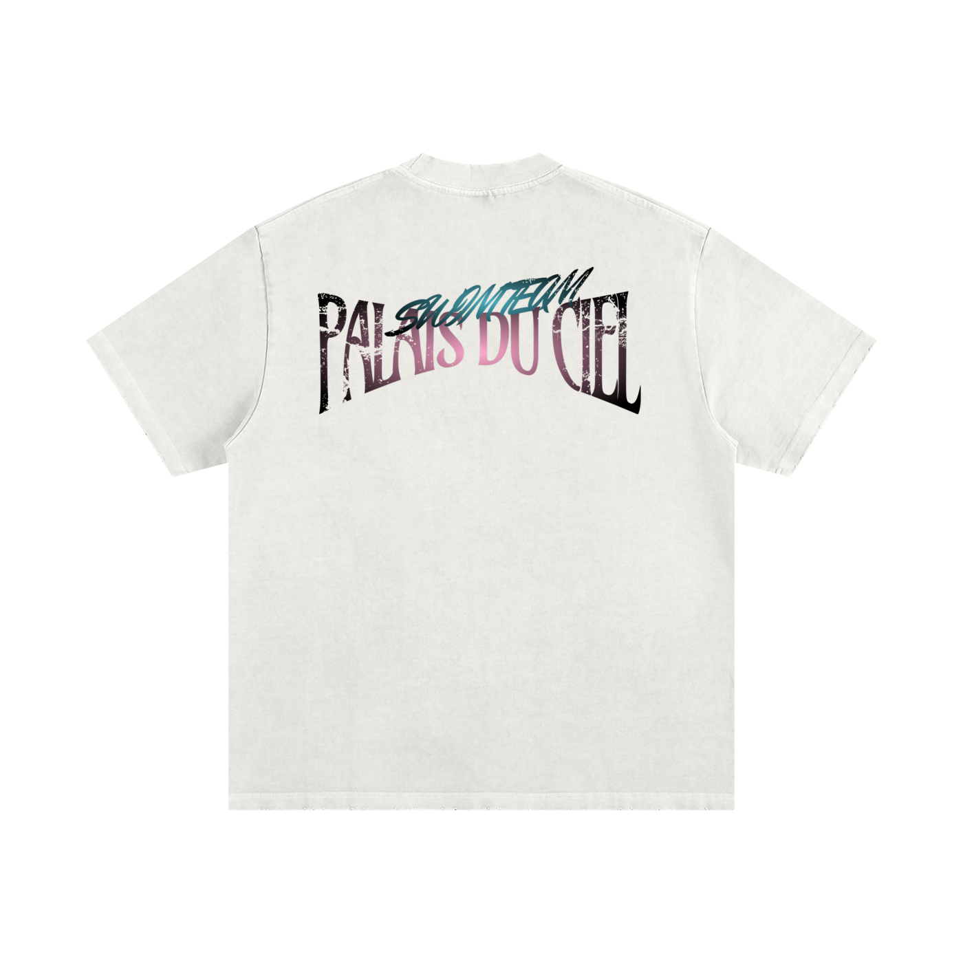 A Palais Du Ciel Swim Team T-shirt