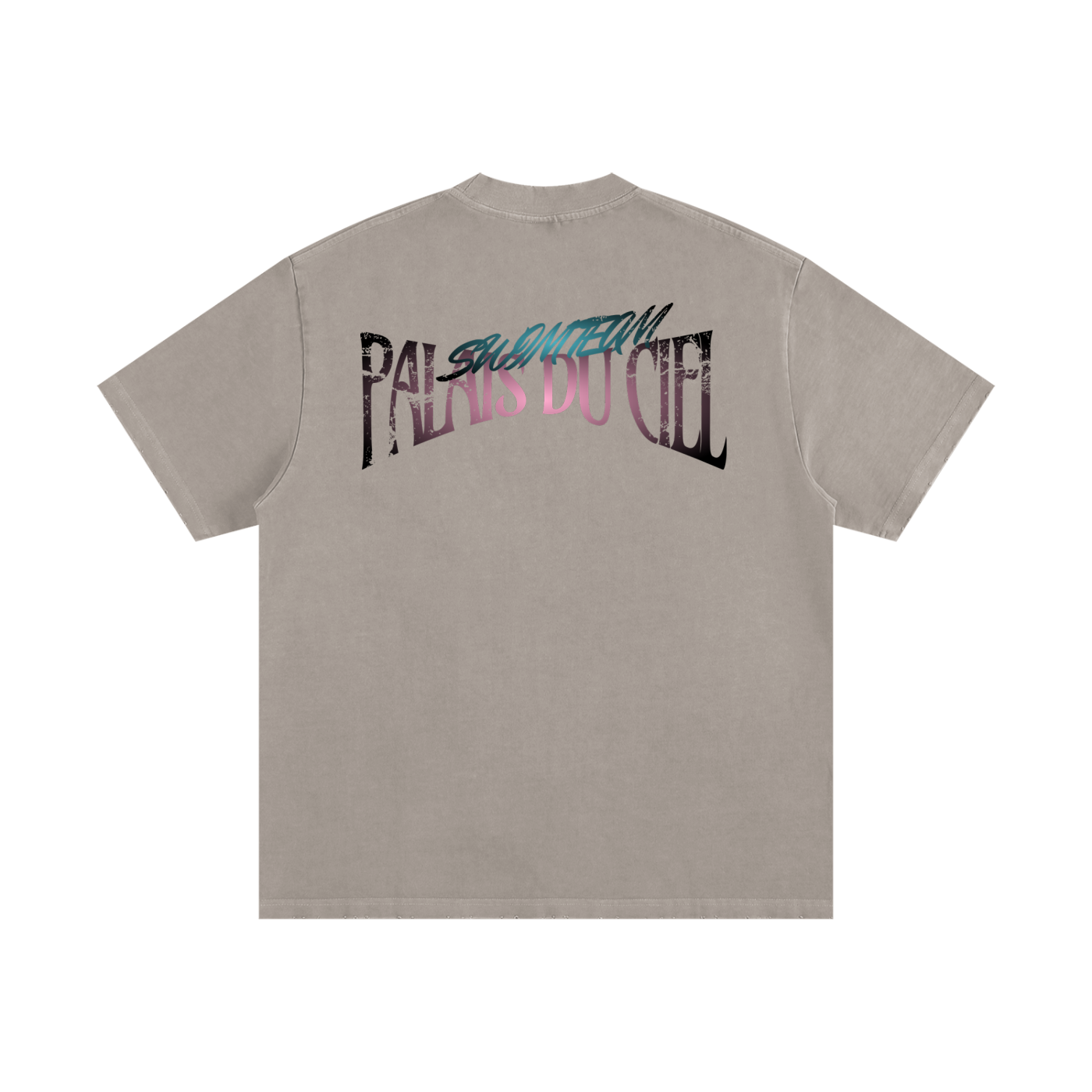 A Palais Du Ciel Swim Team T-shirt
