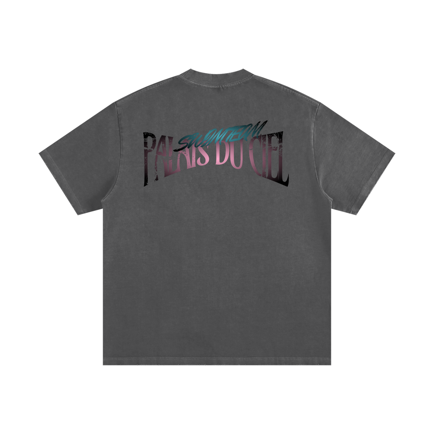 A Palais Du Ciel Swim Team T-shirt