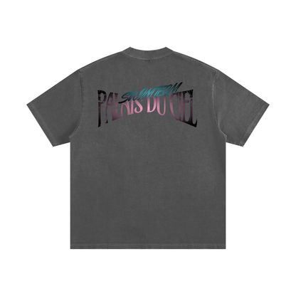 Palais Du Ciel Swim Team T-shirt
