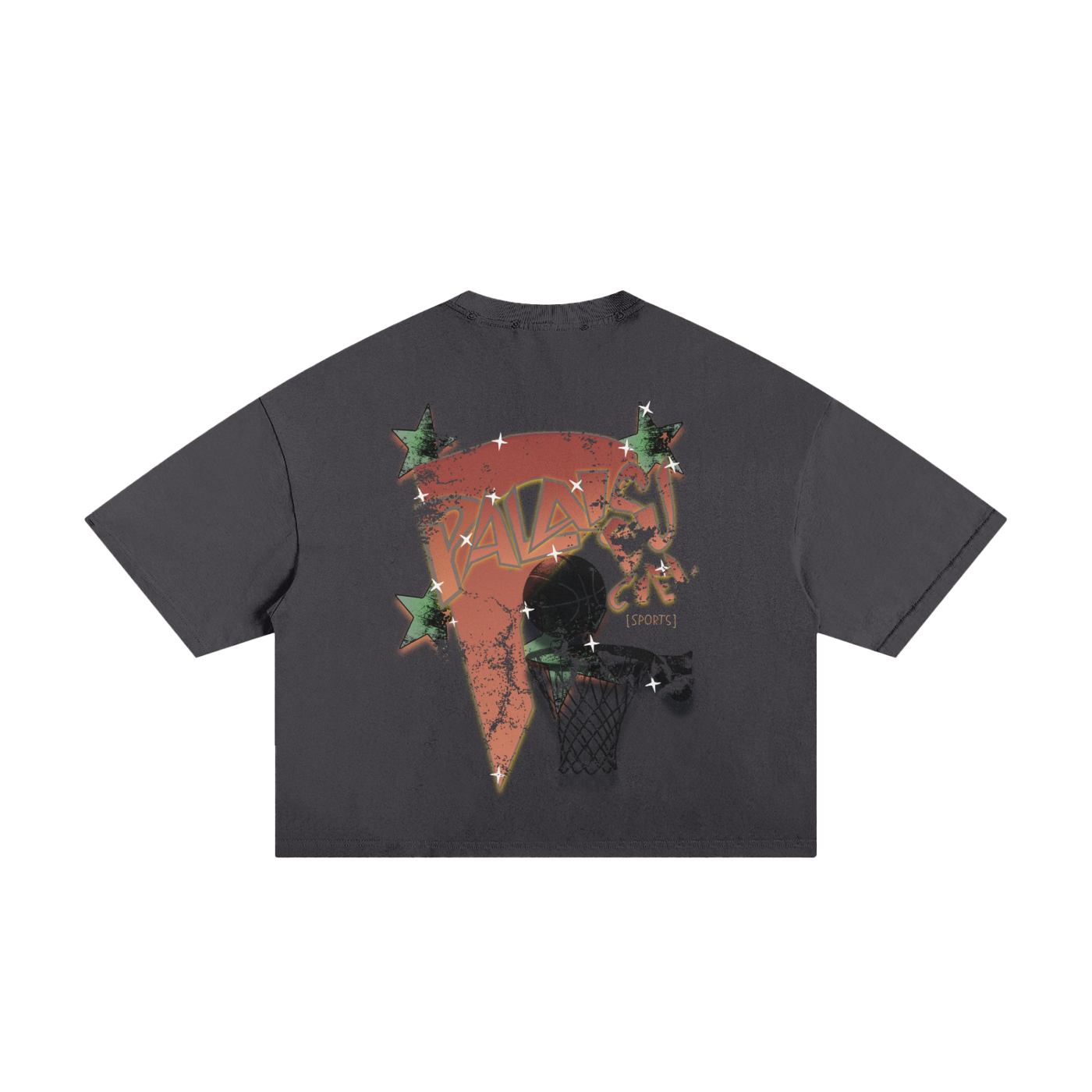 A SHARK PLAYING BASKETBALL / PALAIS DU CIEL T- SHIRT