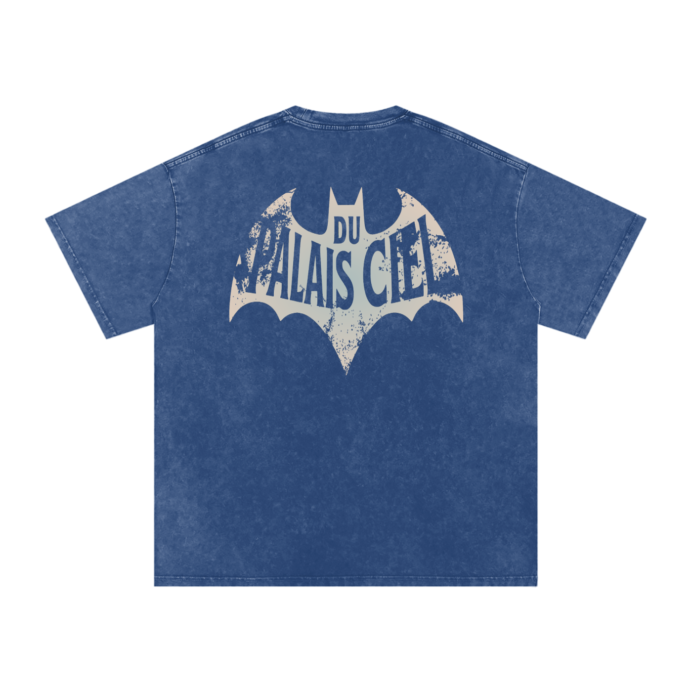 A HERO AND SIDEKICK WASHED T-SHIRT