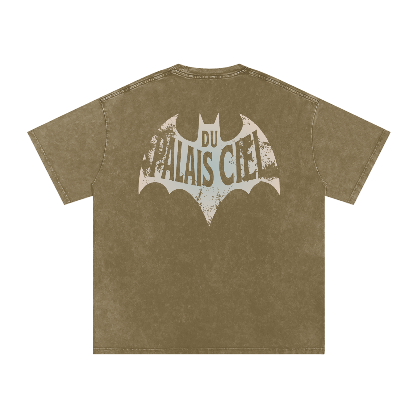 A HERO AND SIDEKICK WASHED T-SHIRT