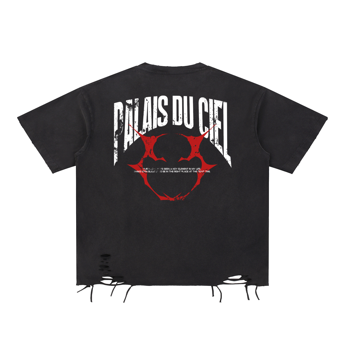 A Blessed Angel Distressed T- Shirt