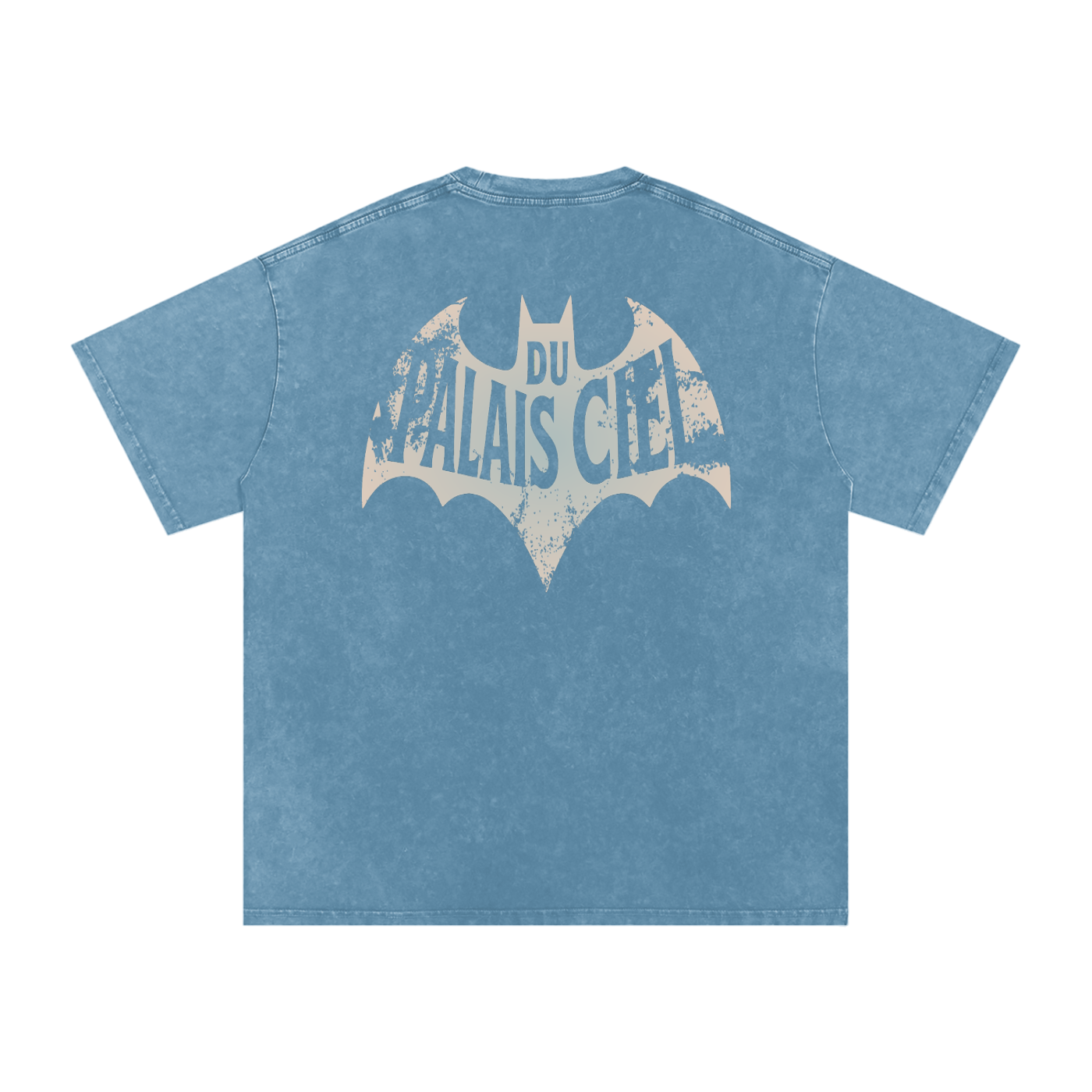A HERO AND SIDEKICK WASHED T-SHIRT