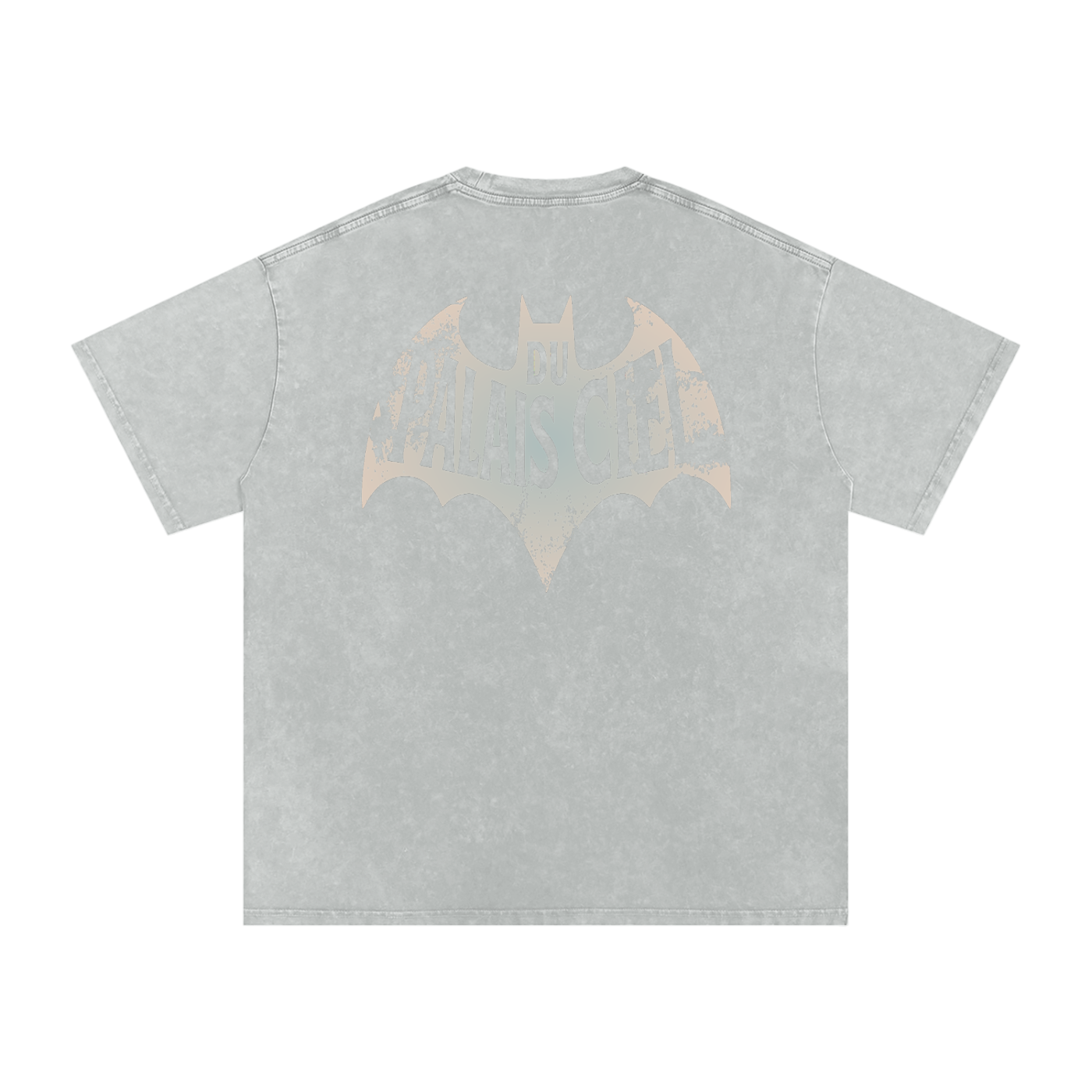 A HERO AND SIDEKICK WASHED T-SHIRT