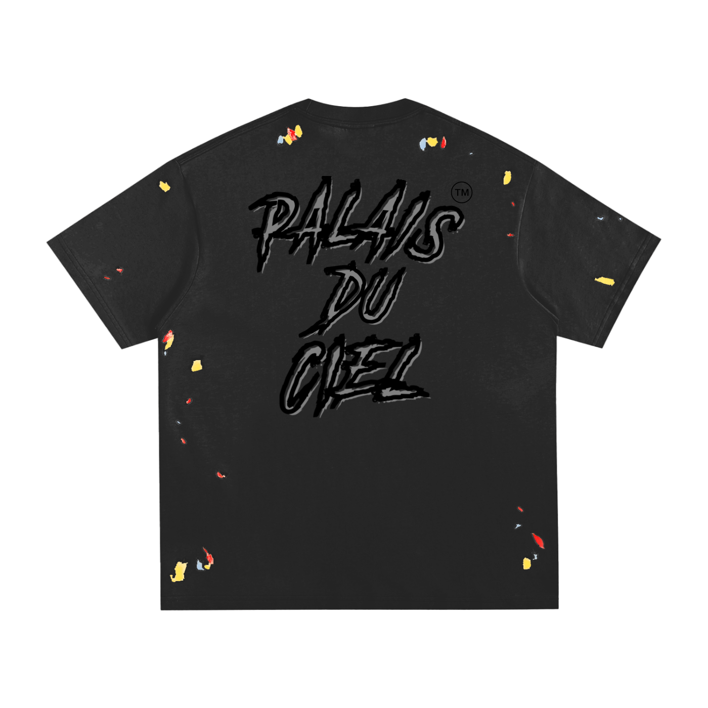 A Lost In My State / Palais Du Ciel - T-Shirt