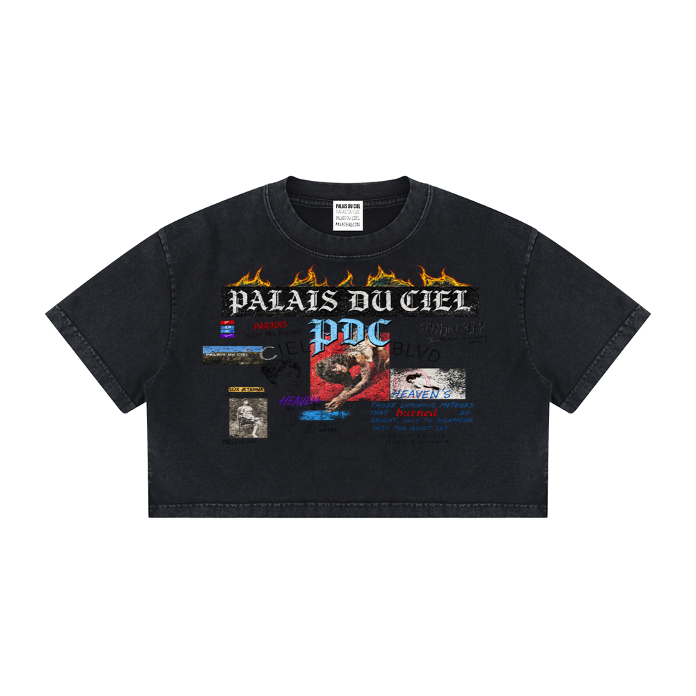 PALACE OF HEAVEN WASHED CROP T-SHIRT
