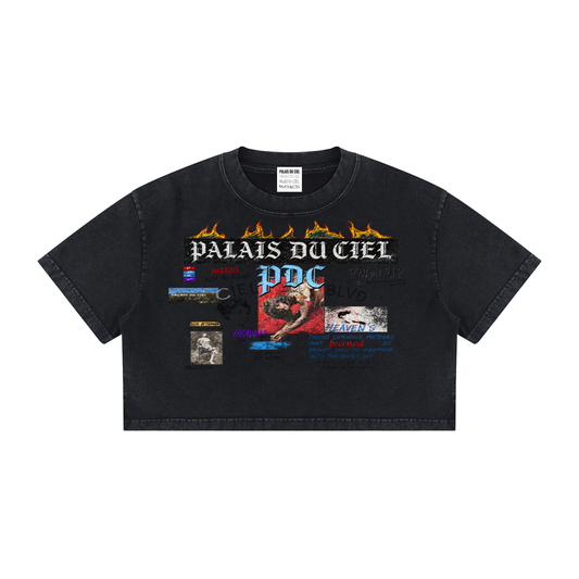 PALACE OF HEAVEN WASHED CROP T-SHIRT