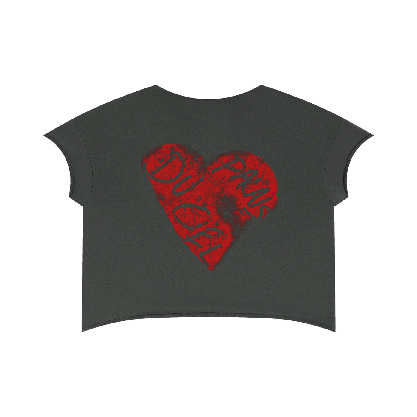 A ALL AMERICAN COWBOY / PALAIS DU CIEL T -SHIRT